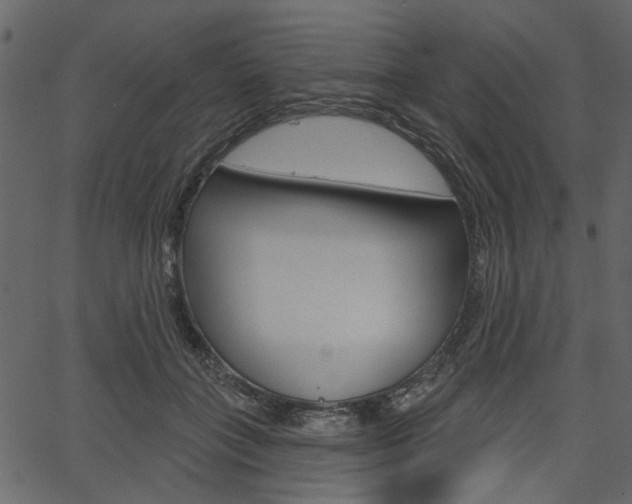 X0000067390555200603310958