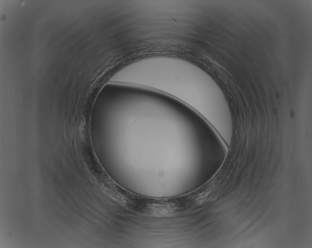 X0000067390556200603310958