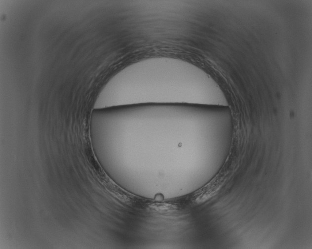 X0000067390557200603310958