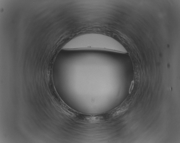 X0000067390558200603310958