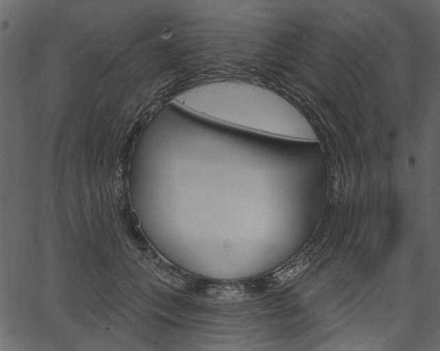 X0000067390559200603310958