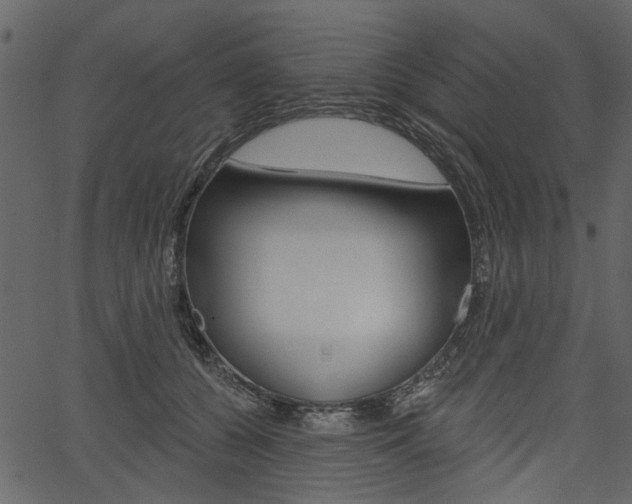 X0000067390560200603310958