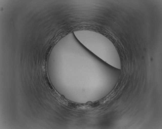 X0000067390561200603310958