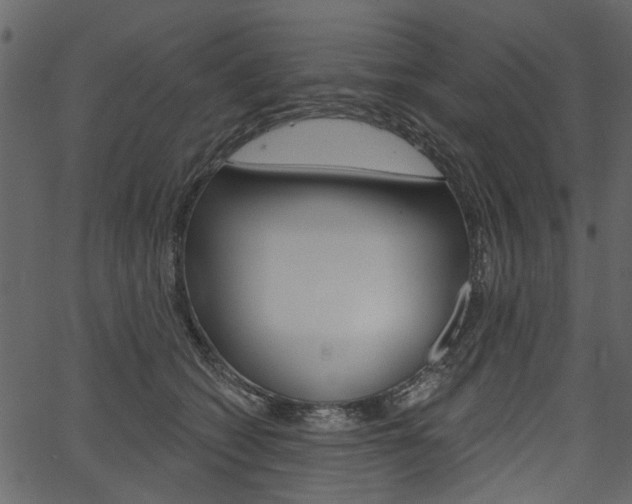 X0000067390562200603310958