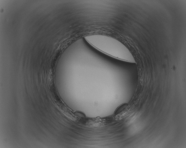 X0000067390563200603310958