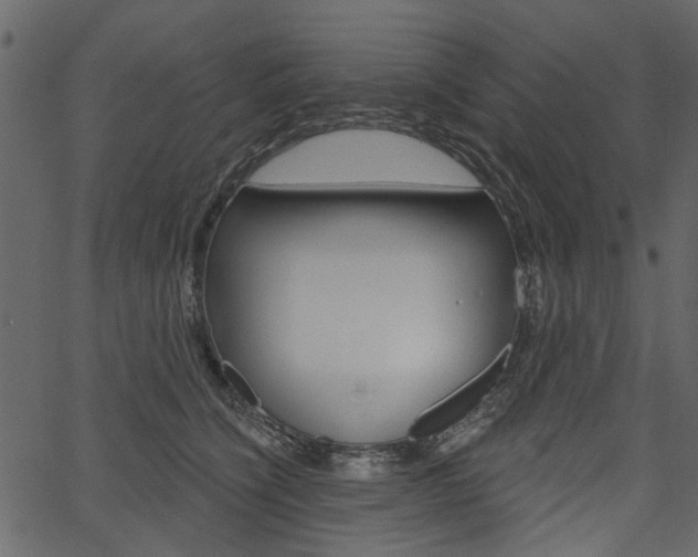 X0000067390564200603310958