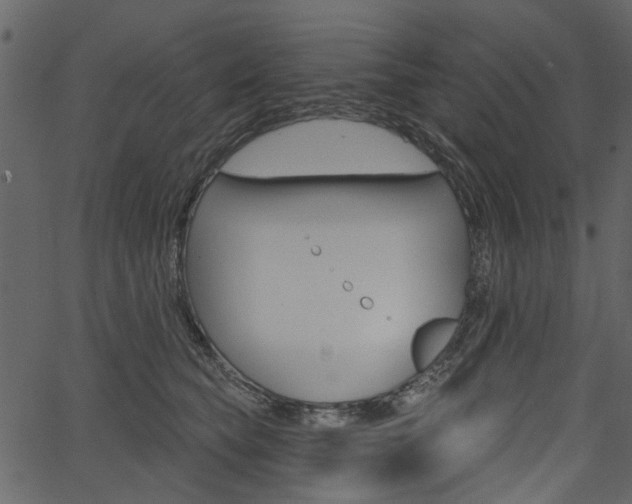 X0000067390565200603310958