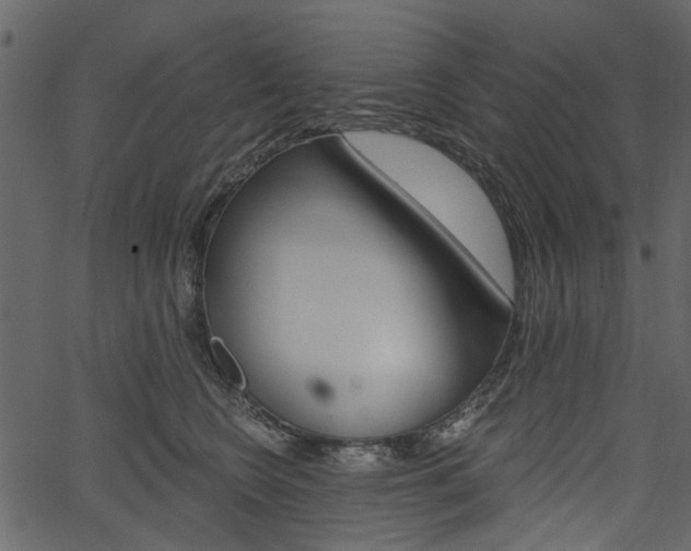 X0000067390566200603310958