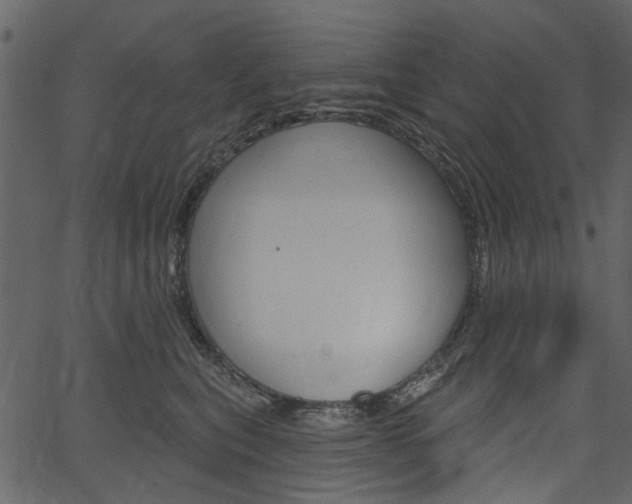 X0000067390567200603310958