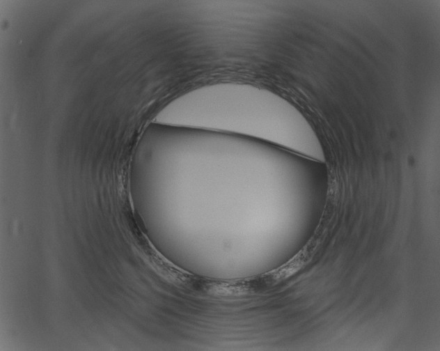 X0000067390568200603310958