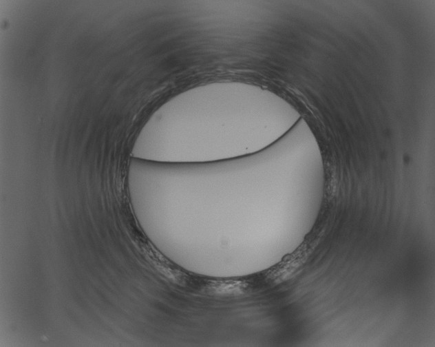 X0000067390569200603310958