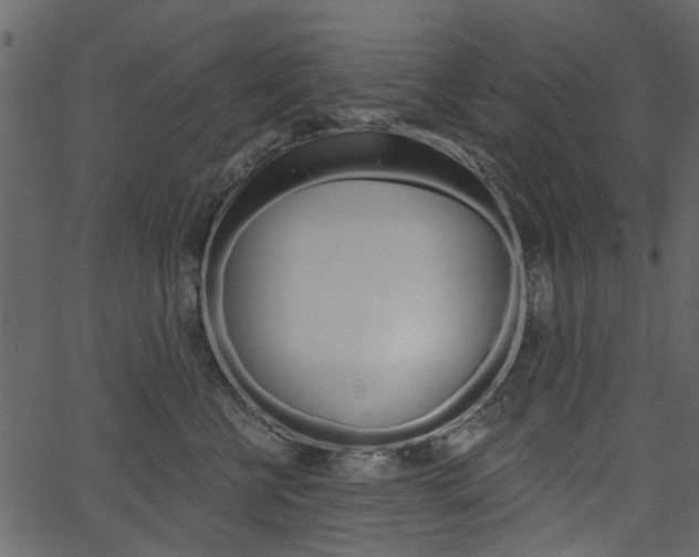 X0000067390570200603310958