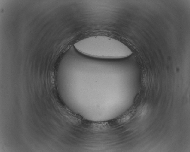 X0000067390571200603310958