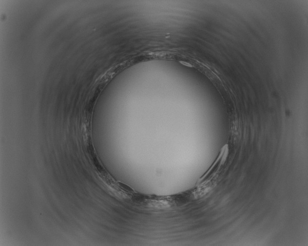 X0000067390572200603310958