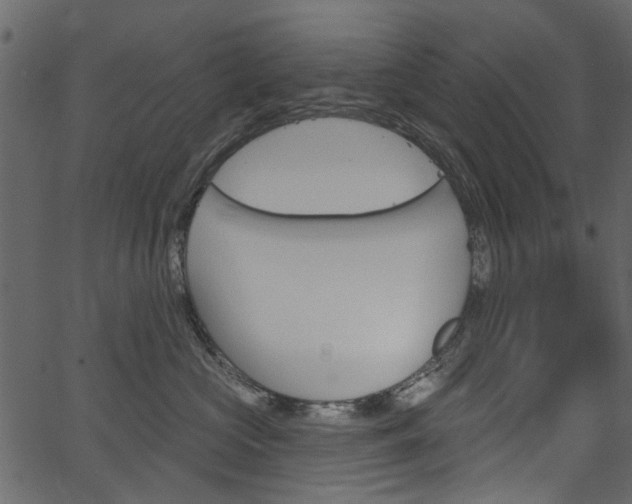 X0000067390573200603310958