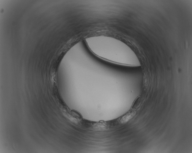 X0000067390574200603310958