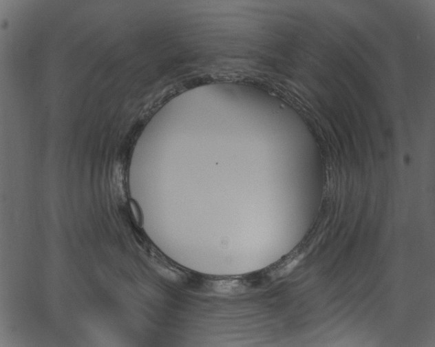 X0000067390575200603310958