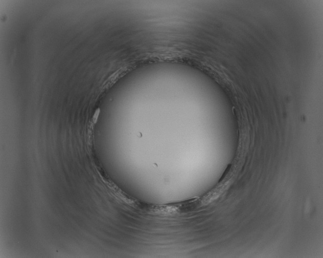 X0000067390576200603310958