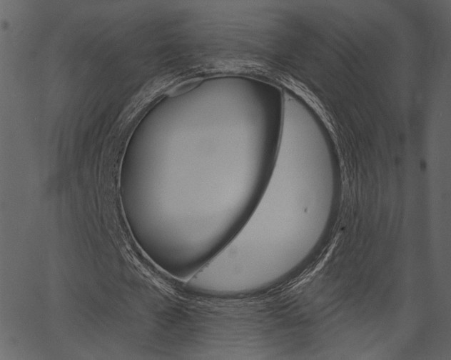 X0000067390577200603310958