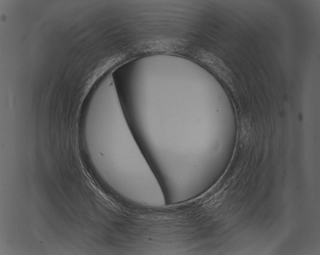 X0000067390578200603310958