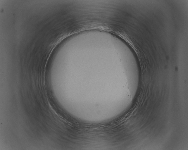 X0000067390579200603310958