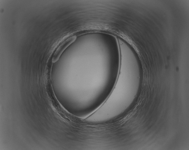 X0000067390580200603310958