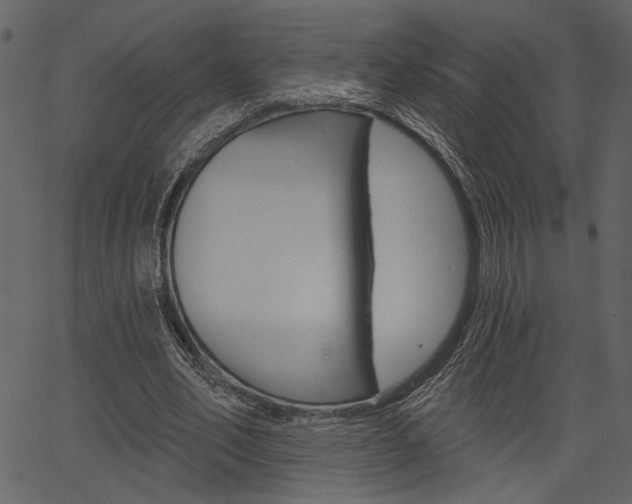 X0000067390582200603310958