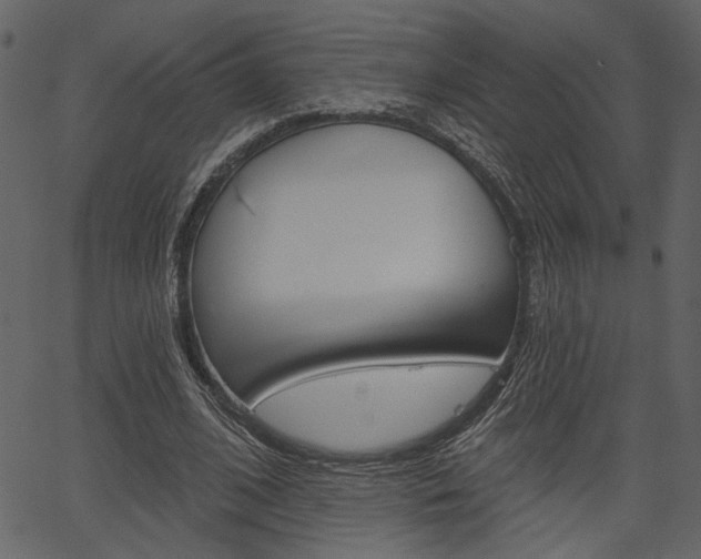 X0000067390584200603310957