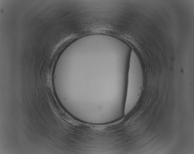 X0000067390587200603310957