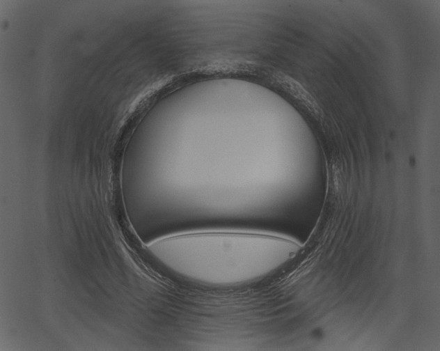 X0000067390588200603310957