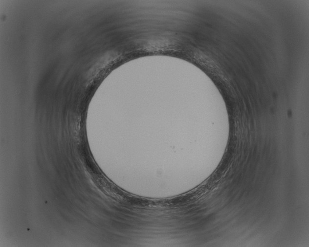 X0000067390592200603310957