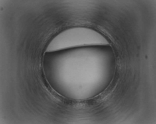 X0000067390593200603310957