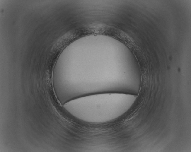 X0000067390594200603310957