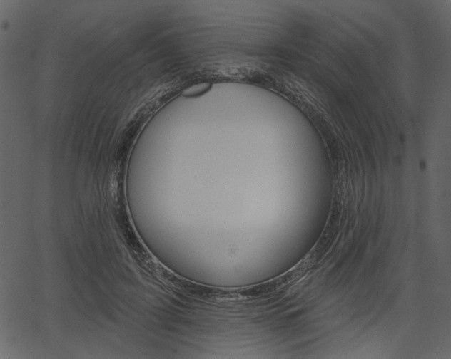 X0000067390595200603310957