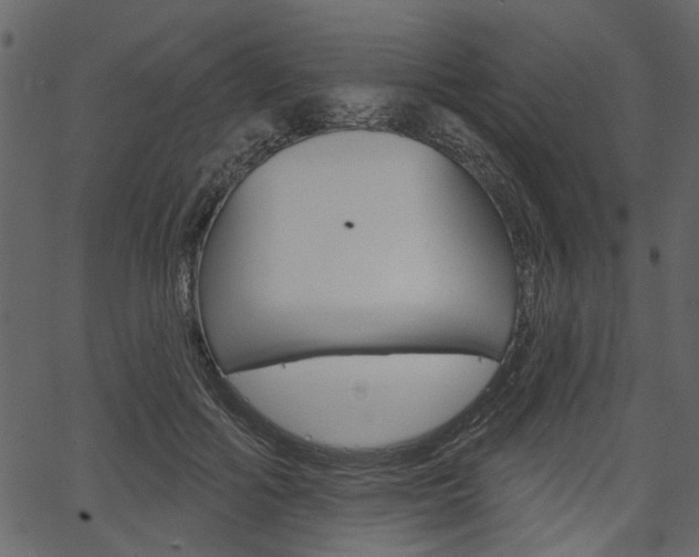 X0000067390602200603310957