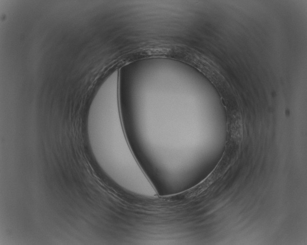 X0000067390604200603310957