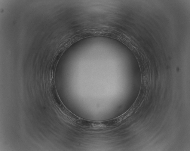 X0000067390605200603310957