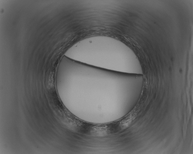 X0000067390606200603310957