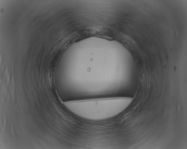 X0000067390607200603310957