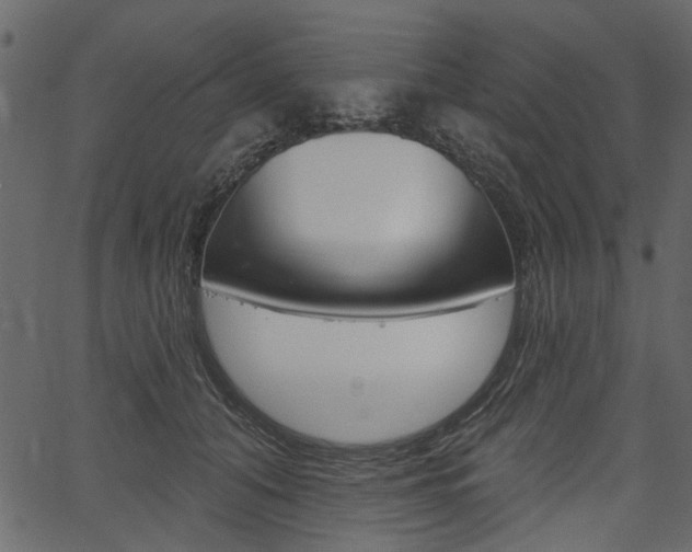 X0000067390608200603310957