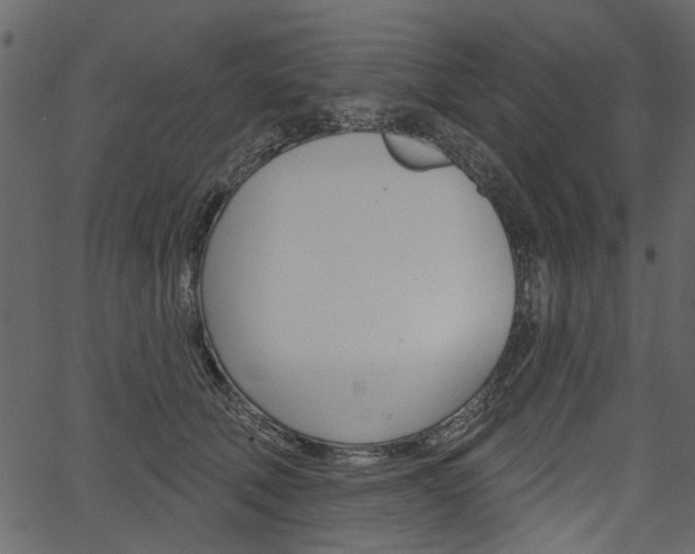 X0000067390610200603310957