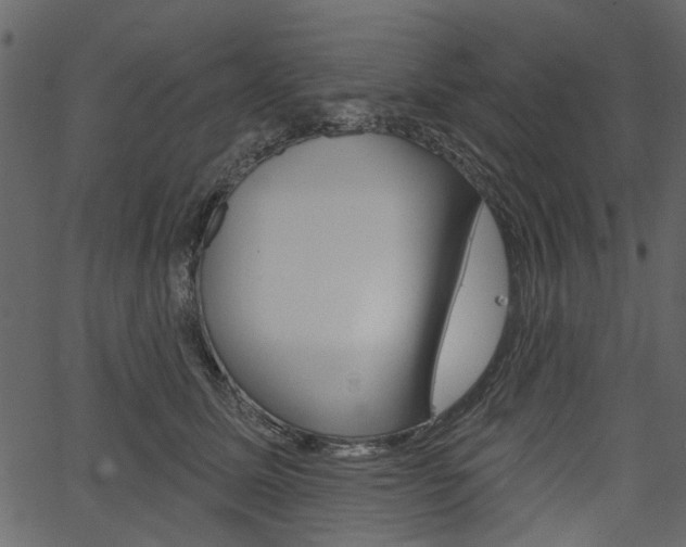 X0000067390611200603310957