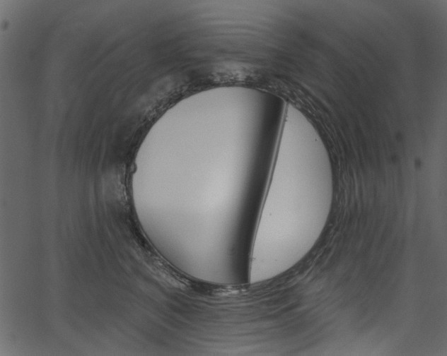 X0000067390616200603310957