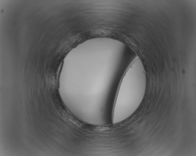 X0000067390617200603310957