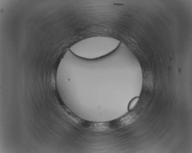 X0000067390622200603310957