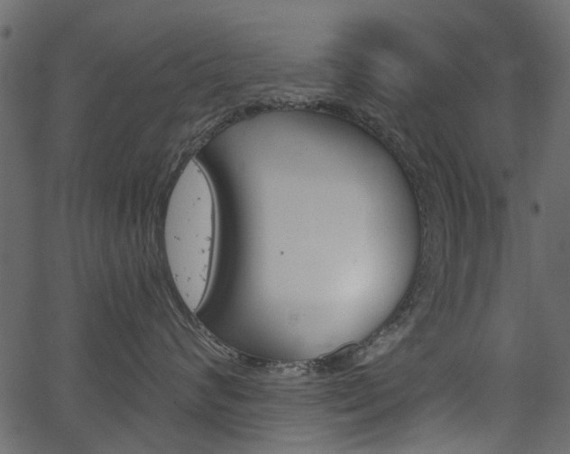 X0000067390624200603310957