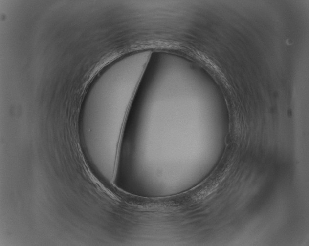 X0000067390625200603310956