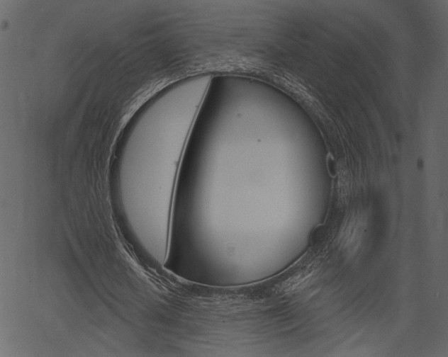 X0000067390626200603310956