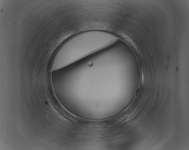 X0000067390627200603310956