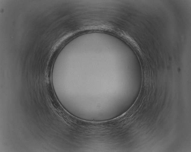 X0000067390628200603310956